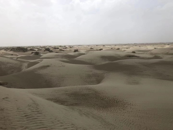 非法經(jīng)營鑒定中引用的鑒定標準是什么？嘉定刑事律師告訴您