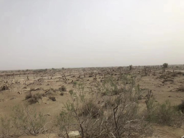 刑事案件流程有哪些？上海刑案階段律師為您介紹