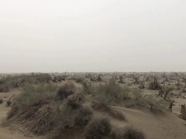 奉賢刑事律師：打工人必看！一不小心就會觸犯商業(yè)秘密罪