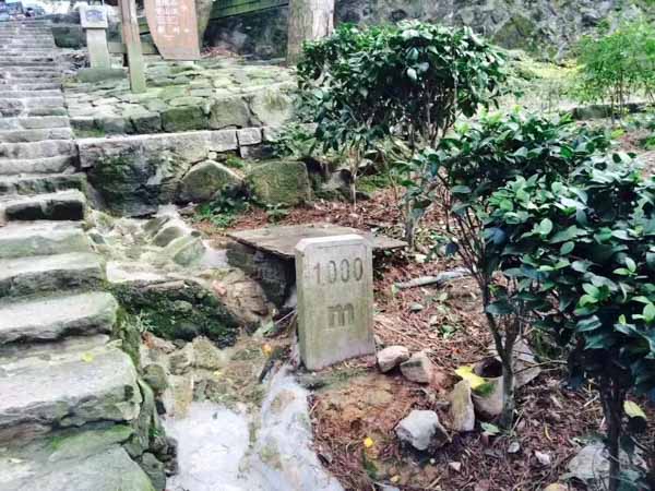 上海權(quán)威刑事律師來講講有走私的故意但具體對象認(rèn)識不明確如何定罪處罰