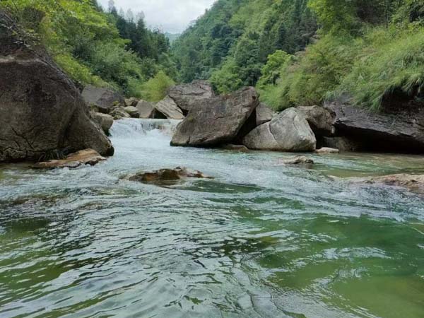 偷稅行為已過訴訟時效該如何處理？上海刑事案件律師為您解答