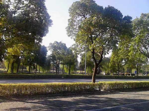 未滿十八歲的法律制度規(guī)定有哪些特別規(guī)定？上海奉賢刑事律師來教您