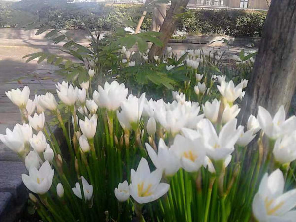 盜竊自己借給別人的東西在司法實踐中是盜竊嗎？上海刑事律師事務(wù)所來回答