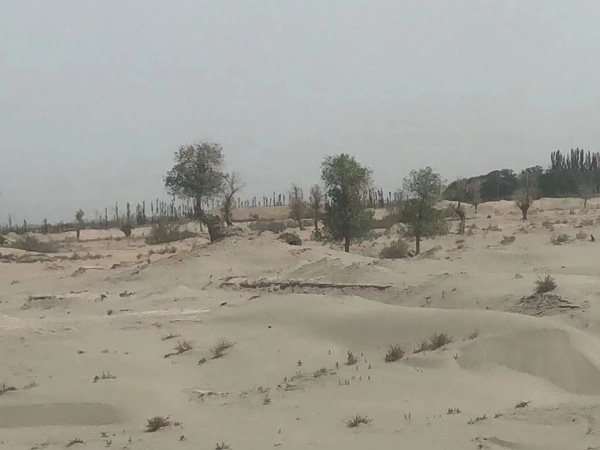 上海刑事資深律師為您講解開好庭前會議的六個關(guān)鍵點