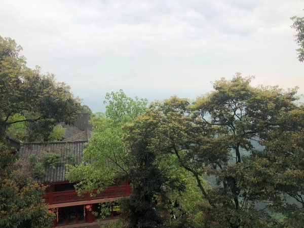 盜竊信用卡的行為包括哪些？寶山刑事律師帶您了解