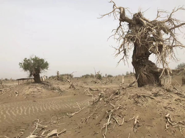 盜竊自己借給別人的東西在司法實踐中是盜竊嗎？上海刑事律師事務(wù)所來回答