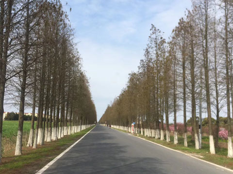 上海刑事律師:打架派出所調(diào)解賠償費(fèi)用是多少