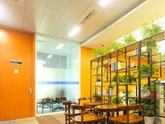 上海經(jīng)濟(jì)犯罪屬于什么犯罪