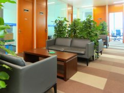 <b>閔行區(qū)刑事律師解讀:經(jīng)濟(jì)案件判刑后是否還需還錢</b>