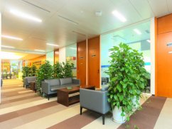 <b>上海刑事案件律師視角:惡意欠薪罪立案程序全解析</b>