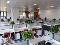 <b>靜安刑事律師解讀：私人放高利貸的法律罪責</b>